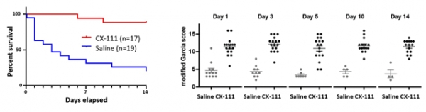 [그림-좌]흰쥐의 뇌 지주막하 출혈 모델에서 14일간 생존율의 비교. 대조군 21.1% vs. CX-111 치료군 88.2%로 4.2배 이상 향상된 생존 결과를 보여주고 있다.[그림-우]생존된 흰쥐들의 활동능력도 치료군에서 훨씬 우월함이 확인되어 건강한 생존이 가능함을 보여줌 (modified Garcia score는 높을수록 신경활동 정도가 높음을 나타냄).